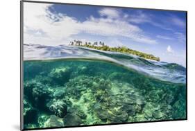 Half Above and Half Below on a Remote Small Islet in the Badas Island Group Off Borneo, Indonesia-Michael Nolan-Mounted Photographic Print