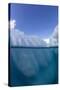 Half above and half below photo of an iceberg off Danco Island, Antarctica, Polar Regions-Michael Nolan-Stretched Canvas