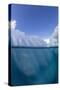 Half above and half below photo of an iceberg off Danco Island, Antarctica, Polar Regions-Michael Nolan-Stretched Canvas