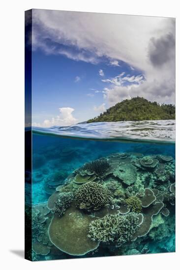 Half Above and Half Below View of Coral Reef at Pulau Setaih Island, Natuna Archipelago, Indonesia-Michael Nolan-Stretched Canvas