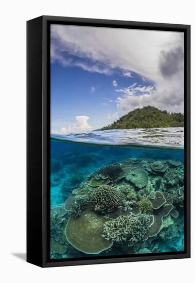 Half Above and Half Below View of Coral Reef at Pulau Setaih Island, Natuna Archipelago, Indonesia-Michael Nolan-Framed Stretched Canvas