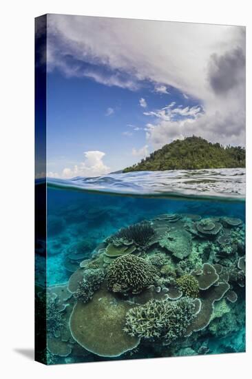 Half Above and Half Below View of Coral Reef at Pulau Setaih Island, Natuna Archipelago, Indonesia-Michael Nolan-Stretched Canvas