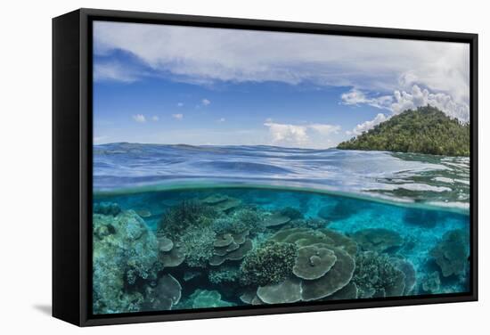 Half Above and Half Below View of Coral Reef at Pulau Setaih Island, Natuna Archipelago, Indonesia-Michael Nolan-Framed Stretched Canvas