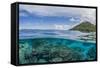 Half Above and Half Below View of Coral Reef at Pulau Setaih Island, Natuna Archipelago, Indonesia-Michael Nolan-Framed Stretched Canvas