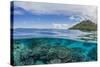 Half Above and Half Below View of Coral Reef at Pulau Setaih Island, Natuna Archipelago, Indonesia-Michael Nolan-Stretched Canvas