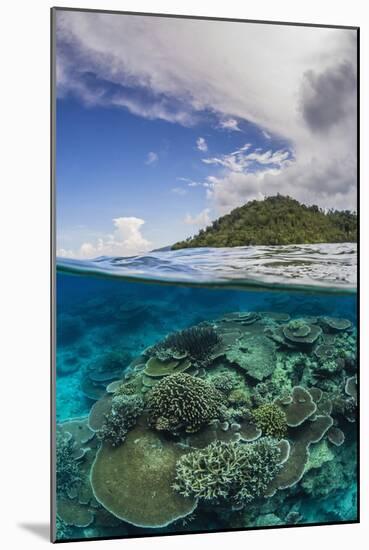 Half Above and Half Below View of Coral Reef at Pulau Setaih Island, Natuna Archipelago, Indonesia-Michael Nolan-Mounted Photographic Print