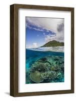 Half Above and Half Below View of Coral Reef at Pulau Setaih Island, Natuna Archipelago, Indonesia-Michael Nolan-Framed Photographic Print