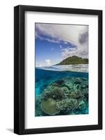 Half Above and Half Below View of Coral Reef at Pulau Setaih Island, Natuna Archipelago, Indonesia-Michael Nolan-Framed Photographic Print