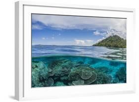 Half Above and Half Below View of Coral Reef at Pulau Setaih Island, Natuna Archipelago, Indonesia-Michael Nolan-Framed Photographic Print