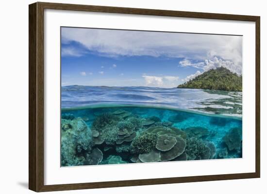 Half Above and Half Below View of Coral Reef at Pulau Setaih Island, Natuna Archipelago, Indonesia-Michael Nolan-Framed Photographic Print