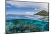 Half Above and Half Below View of Coral Reef at Pulau Setaih Island, Natuna Archipelago, Indonesia-Michael Nolan-Mounted Photographic Print