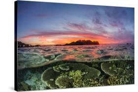 Half above and half below view of the Komodo Diving Resort at sunset, Sebayur Island, Indonesia-Michael Nolan-Stretched Canvas