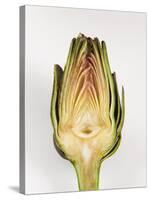 Half Artichoke, Italy, Europe-Nico Tondini-Stretched Canvas