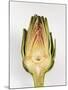 Half Artichoke, Italy, Europe-Nico Tondini-Mounted Photographic Print