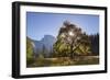 Half Dome and Elm Tree in Cooks Meadow, Yosemite Valley, California, USA. Autumn (October)-Adam Burton-Framed Photographic Print