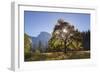 Half Dome and Elm Tree in Cooks Meadow, Yosemite Valley, California, USA. Autumn (October)-Adam Burton-Framed Photographic Print