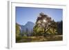 Half Dome and Elm Tree in Cooks Meadow, Yosemite Valley, California, USA. Autumn (October)-Adam Burton-Framed Photographic Print