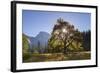 Half Dome and Elm Tree in Cooks Meadow, Yosemite Valley, California, USA. Autumn (October)-Adam Burton-Framed Photographic Print