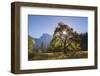 Half Dome and Elm Tree in Cooks Meadow, Yosemite Valley, California, USA. Autumn (October)-Adam Burton-Framed Photographic Print