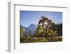 Half Dome and Elm Tree in Cooks Meadow, Yosemite Valley, California, USA. Autumn (October)-Adam Burton-Framed Photographic Print