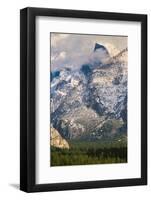 Half Dome and Valley, Yosemite National Park, California-Zandria Muench Beraldo-Framed Photographic Print