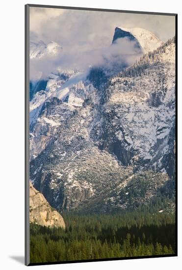 Half Dome and Valley, Yosemite National Park, California-Zandria Muench Beraldo-Mounted Photographic Print