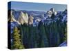 Half Dome in Evening Glow, Yosemite National Park, California, USA-Mark Williford-Stretched Canvas