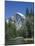 Half Dome Mountain in Yosemite National Park, California, USA-Rainford Roy-Mounted Photographic Print