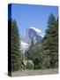 Half Dome Mountain Peak and Chapel, Unesco World Heritage Site, California-Roy Rainford-Stretched Canvas