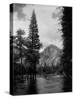 Half Dome Over Merced River-null-Stretched Canvas