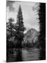 Half Dome Over Merced River-null-Mounted Photographic Print