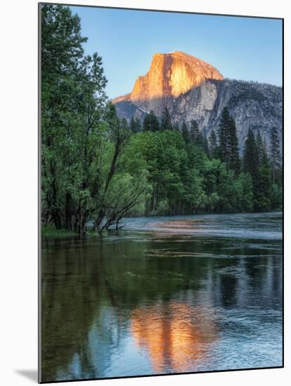 Half Dome Reflected in Merced River, Yosemite Valley, Yosemite National Park, California, USA-null-Mounted Premium Photographic Print
