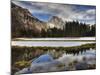 Half Dome Reflected in Snow Melt, Yosemite National Park, California, Usa-Jamie & Judy Wild-Mounted Photographic Print