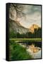 Half Dome Reflection at Cook's Meadow, Yosemite Valley-Vincent James-Framed Stretched Canvas