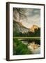 Half Dome Reflection at Cook's Meadow, Yosemite Valley-Vincent James-Framed Premium Photographic Print
