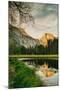 Half Dome Reflection at Cook's Meadow, Yosemite Valley-Vincent James-Mounted Premium Photographic Print