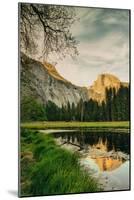 Half Dome Reflection at Cook's Meadow, Yosemite Valley-Vincent James-Mounted Photographic Print