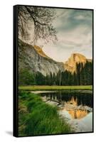 Half Dome Reflection at Cook's Meadow, Yosemite Valley-Vincent James-Framed Stretched Canvas