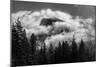 Half Dome Surrounded By Clouds And Framed By The Trees-Joe Azure-Mounted Photographic Print