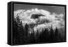 Half Dome Surrounded By Clouds And Framed By The Trees-Joe Azure-Framed Stretched Canvas