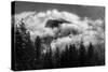 Half Dome Surrounded By Clouds And Framed By The Trees-Joe Azure-Stretched Canvas