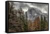 Half Dome View from Sentinel Bridge in Winter. Yosemite National Park, California.-Tom Norring-Framed Stretched Canvas