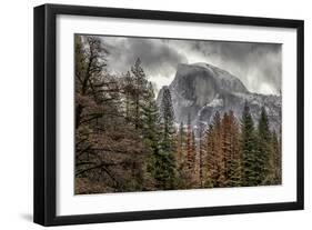 Half Dome View from Sentinel Bridge in Winter. Yosemite National Park, California.-Tom Norring-Framed Photographic Print