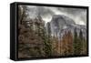 Half Dome View from Sentinel Bridge in Winter. Yosemite National Park, California.-Tom Norring-Framed Stretched Canvas