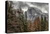 Half Dome View from Sentinel Bridge in Winter. Yosemite National Park, California.-Tom Norring-Stretched Canvas
