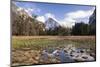 Half Dome with reflections seen from Cooks Meadow. Yosemite National Park. California.-Tom Norring-Mounted Photographic Print