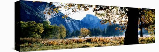 Half Dome, Yosemite National Park, California, USA-null-Stretched Canvas