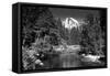 Half Dome - Yosemite National Park - Californie - United States-Philippe Hugonnard-Framed Stretched Canvas