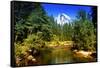 Half Dome - Yosemite National Park - Californie - United States-Philippe Hugonnard-Framed Stretched Canvas