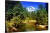 Half Dome - Yosemite National Park - Californie - United States-Philippe Hugonnard-Stretched Canvas